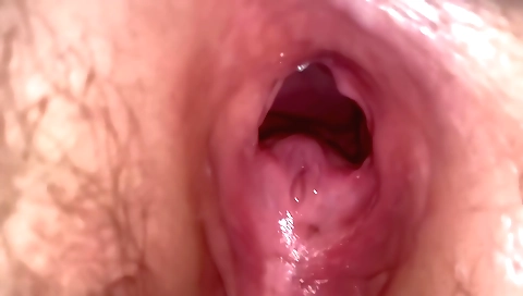 Busty hottie makes a doggy style blowjob with her lover