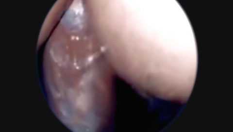 Cute girlfriend is getting fucked hot in closeup and more